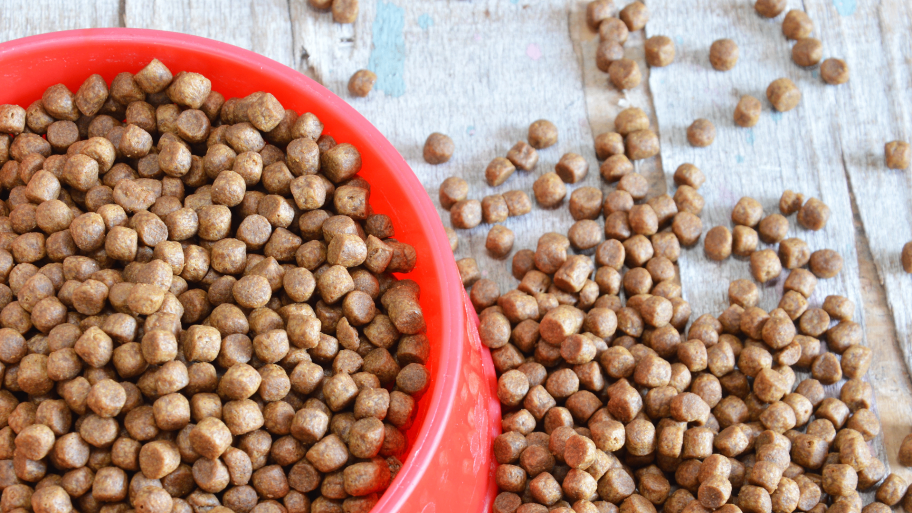 Prebiotic Carbohydrates