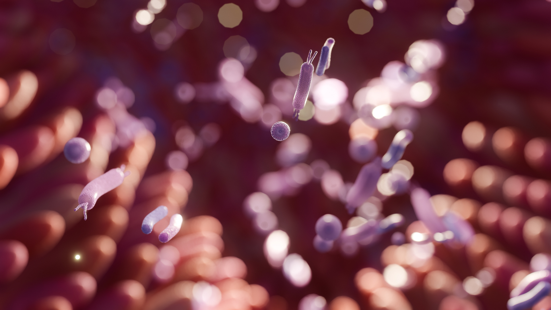Probiotics, Prebiotics & Postbiotics